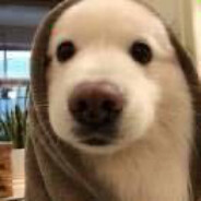 紫罗兰味的抑郁帅哥