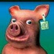 pigs-a-plenty!