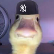 pablo.
