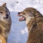 再烈的酒都比不过你的一句射里面