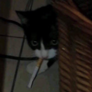 Ednk