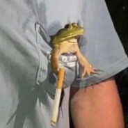 Pocket_Frog