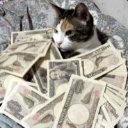 Good Tea. Nice House.