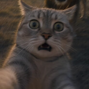 故事到此已换了篇章