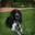 Doggy1270