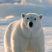 Kaylo - steam id 76561199036535957