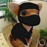 NinjaDOG