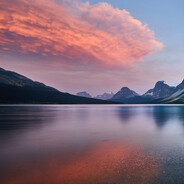 科比牢大爱强碱