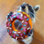 donut_raccoon