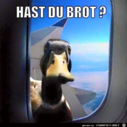 sturmi - steam id 76561197965783904