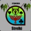 Strelki