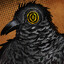 Bird 5