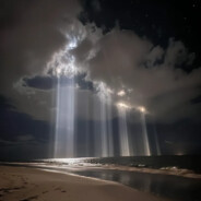 20年老寒腿10年帕金森