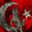 SikişgenNeZzz