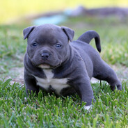 bajzy ♥