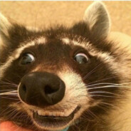 𝙴𝚗𝚘𝚝𝚒𝚔