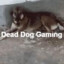 dead dog gaming