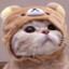 Hydn-_O