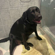 THERRY - steam id 76561198254926971