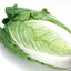 Bok Choy