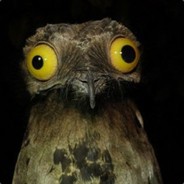 J'ai Chier Dans ton Froque