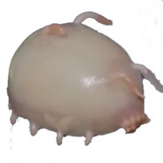 Sea Pig