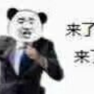 来都来了