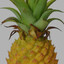 princeesspineapples