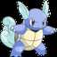 Mr Wartortle