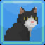 大狸花猫