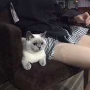 抹殇