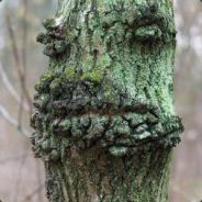 ŚwiętyJudasz avatar