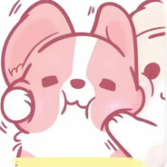 伯乐见了都说好马