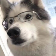 敢问上天是否有仙