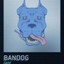 Bandog