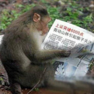 狗熊岭吉吉国王