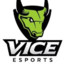 Vice Esports