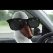 Г҉у҉С҉Ъ҉