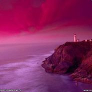 zorra - steam id 76561197961159590