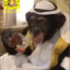 muslim monkey