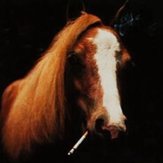 horse