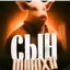 Сынш люхи