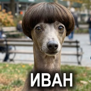 #радивашеймамы