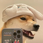 一叶知秋落悲风