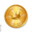 COIN-FLIP