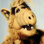 ALF