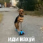 каловыйзавал04