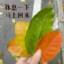 山河不及