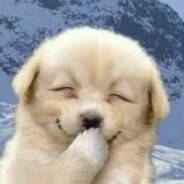 电脑玩家肖雪升