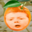 csgoconorc